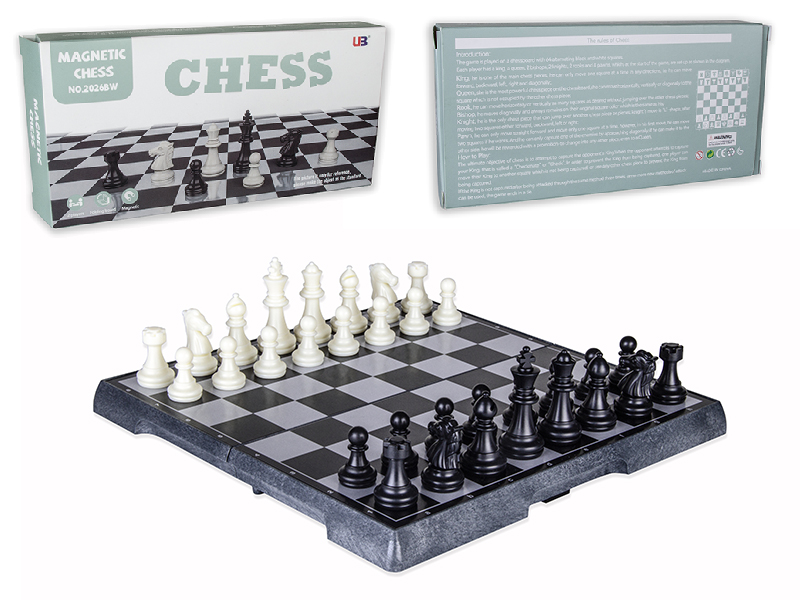 Black And White Magnetic Chess