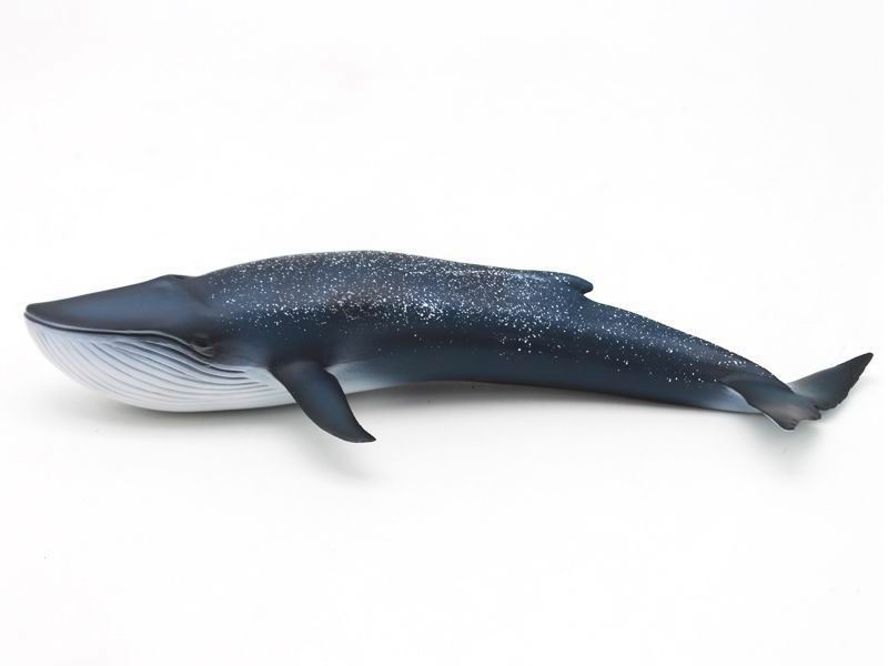 PVC Blue Whale