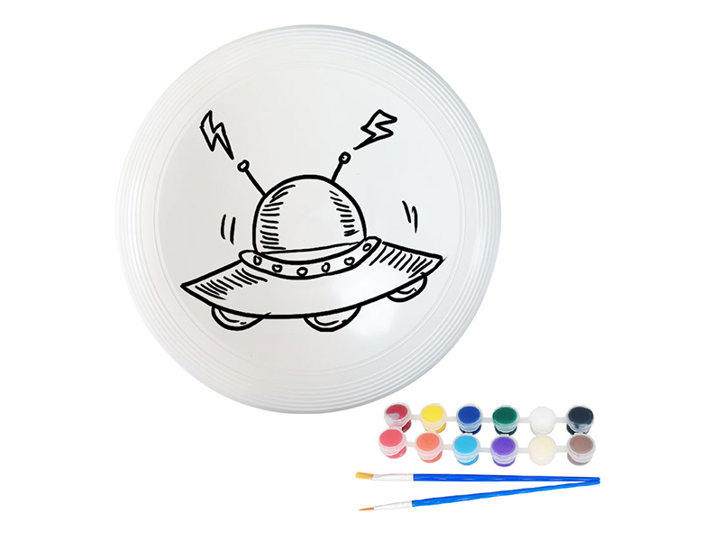 27CM DIY Painted Graffiti Frisbee