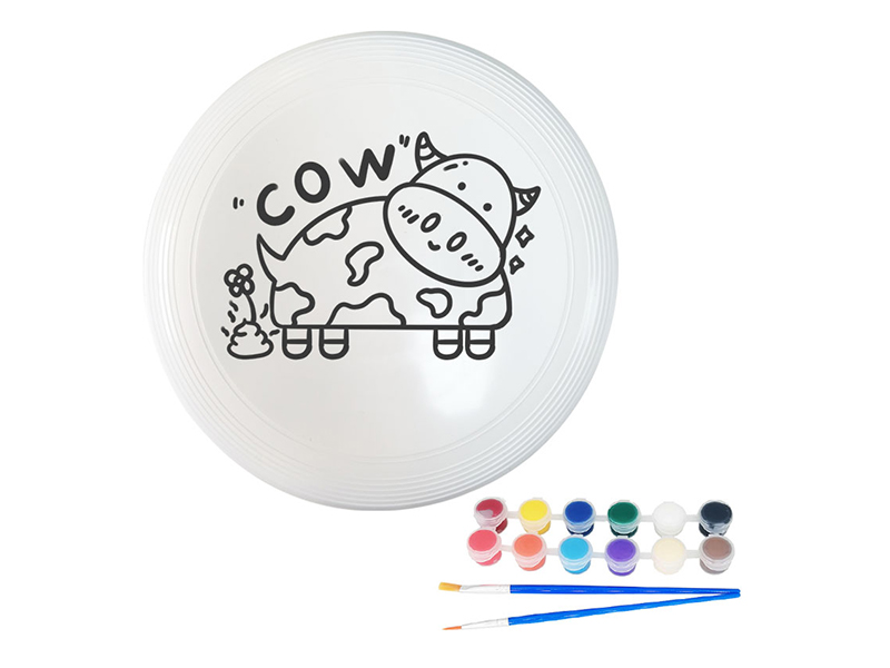 27CM DIY Painted Graffiti Frisbee