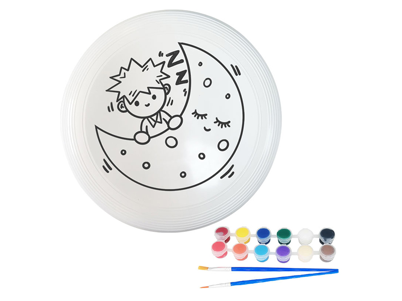 27CM DIY Painted Graffiti Frisbee
