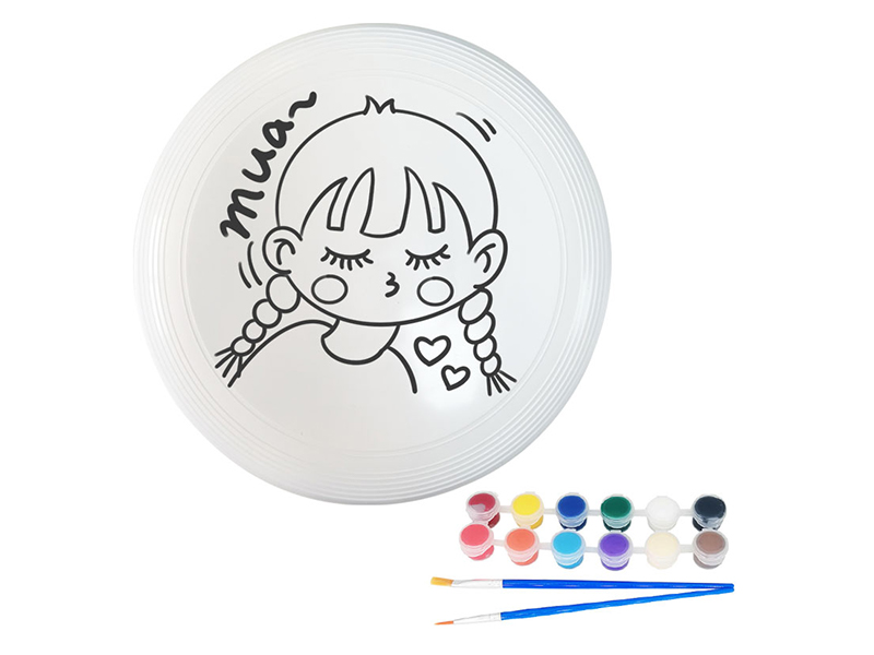 27CM DIY Painted Graffiti Frisbee