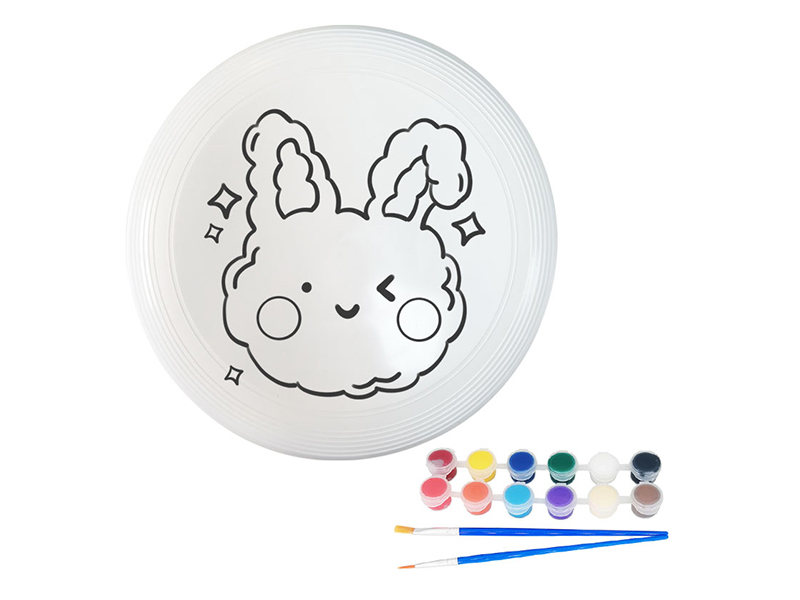 27CM DIY Painted Graffiti Frisbee