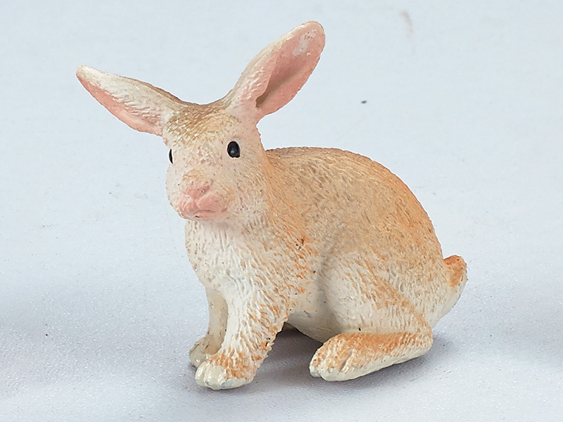 Rabbit Static Model