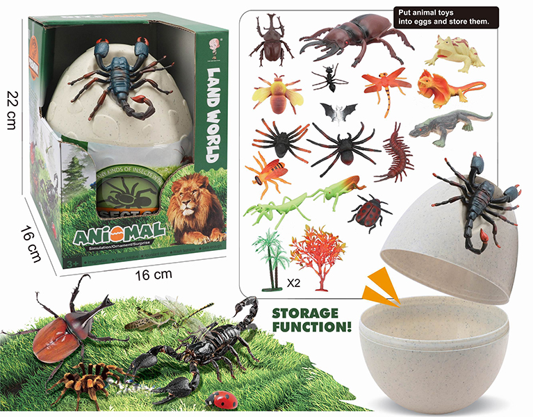 Insect Egg Set