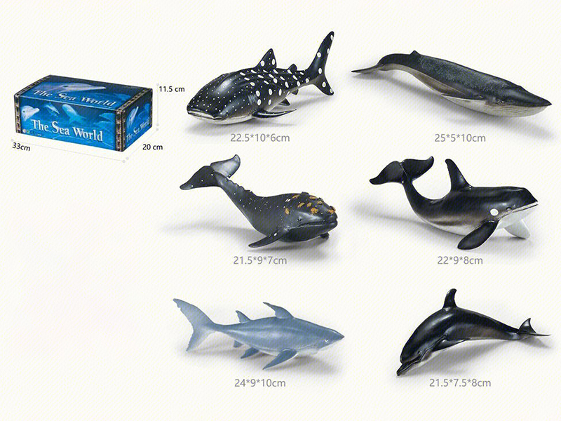 Sea Animals 9