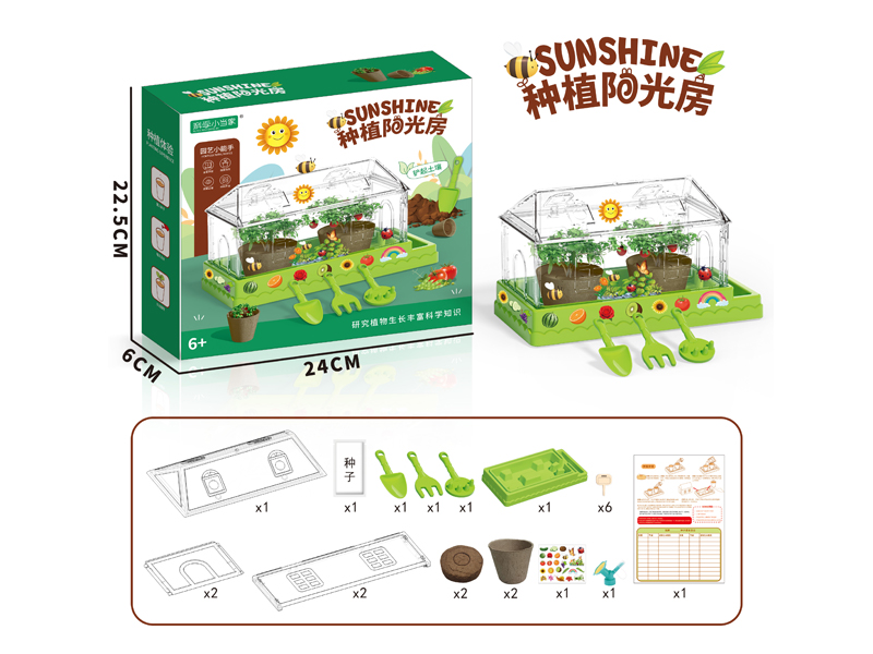 DIY Planting Toy
