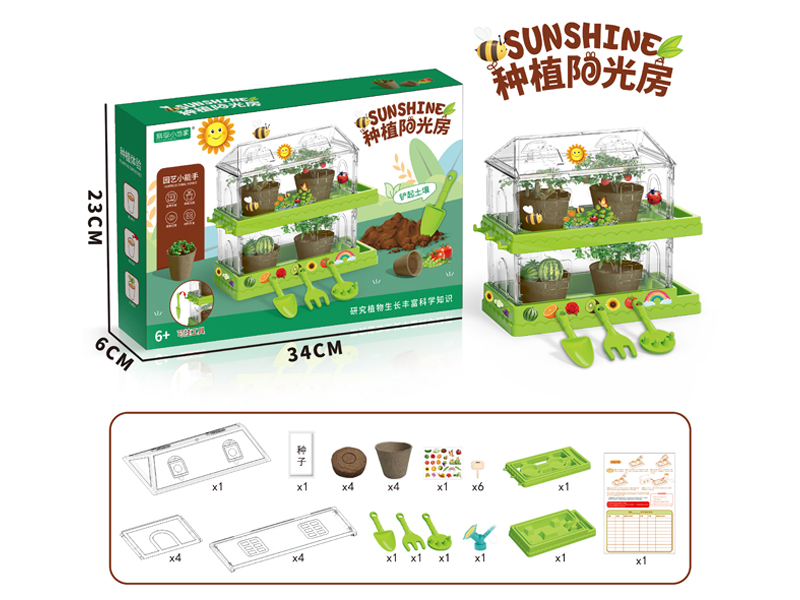 DIY Planting Toy