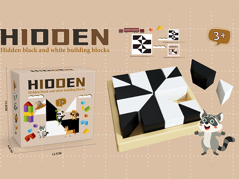 Hidden Black And White Building Blocks