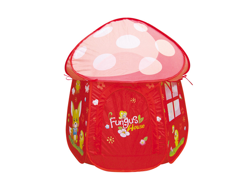 Children's Tent