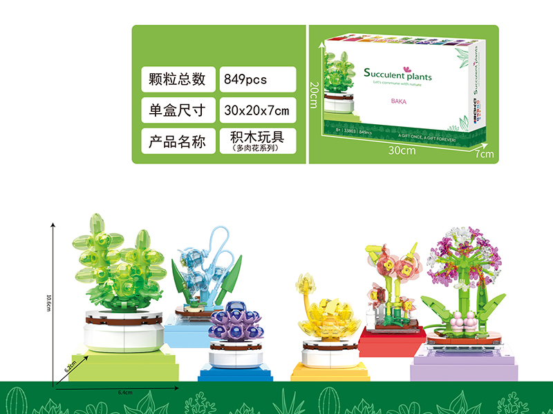 Building Blocks Succulent Plants(843PCS)