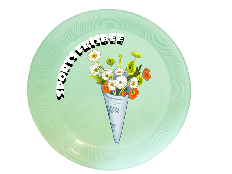 UV Printing Frisbee Toy 20cm - Flower
