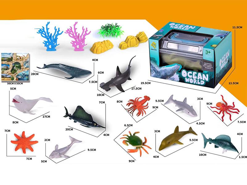 Ocean Set