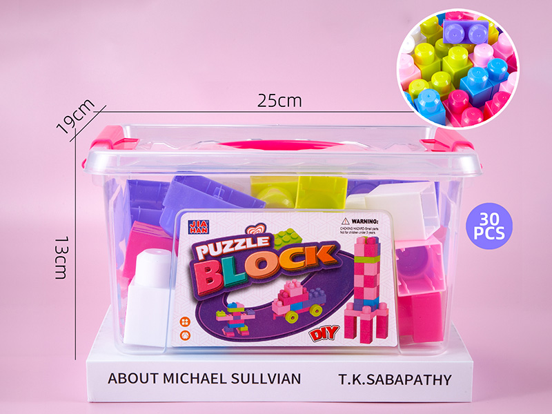 Girl Series Large Building Blocks (About 450g, 30PCS)