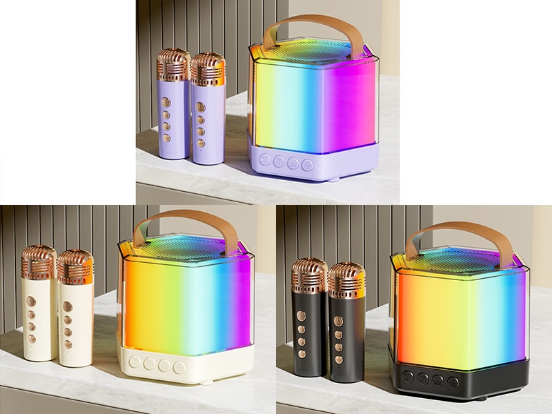 Wireless Bluetooth Karaoke Speaker(Single Microphone)