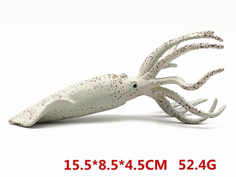 Squid