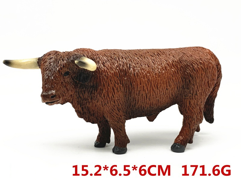 Tibetan Cattle