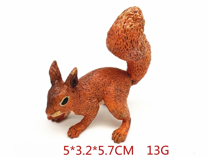 Squirrel