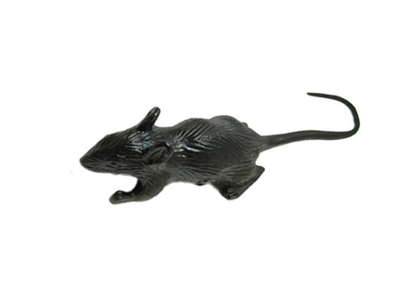Mouse Toy