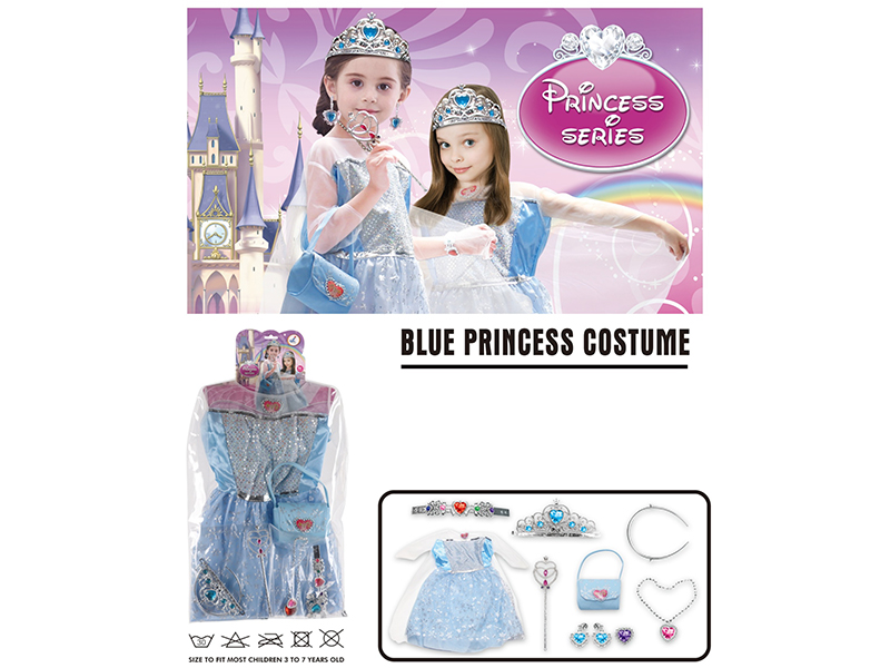 Blue Princess Dress