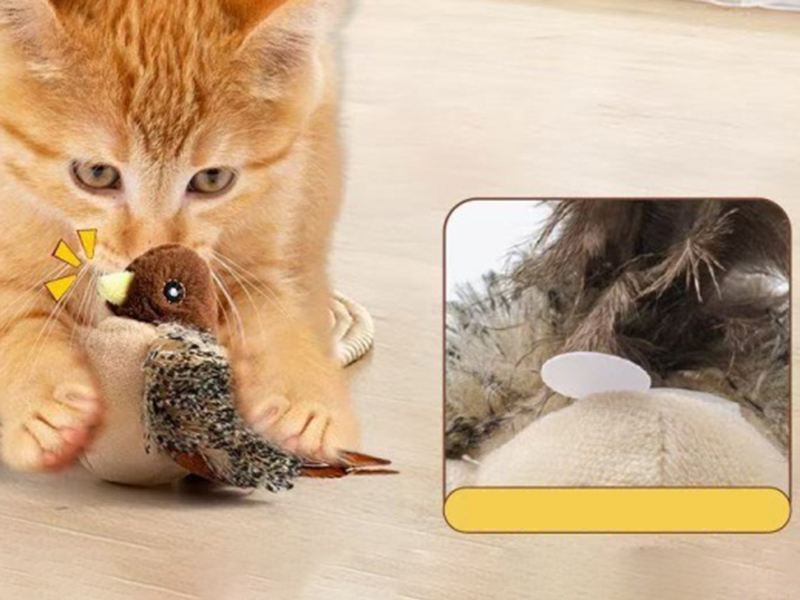 Induction Sparrow