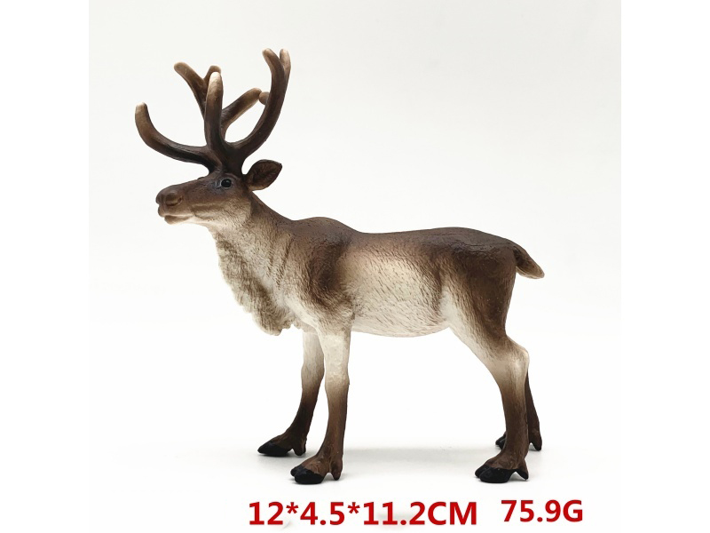 Reindeer