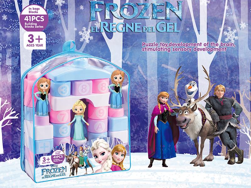 Frozen Building Blocks 41pcs