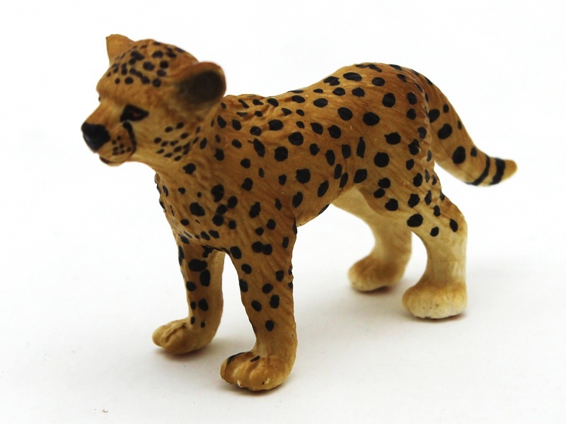 Little African Cheetah