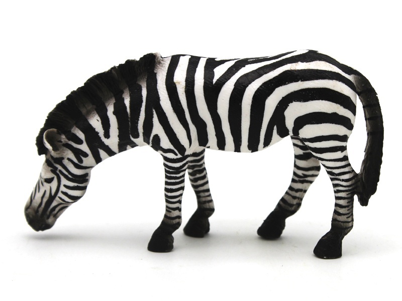 Drinking Zebra