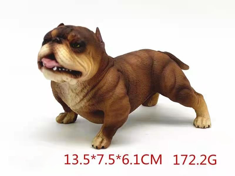 American Bully Dog