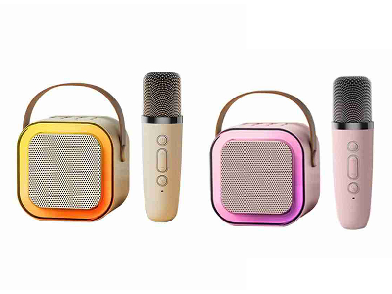 Speaker With Microphone