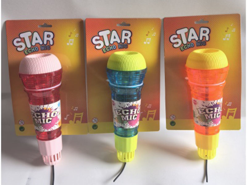 Echo Microphone