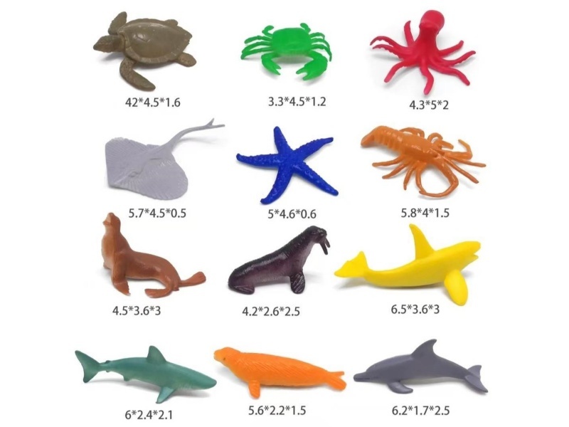 Ocean Set 12 Pcs