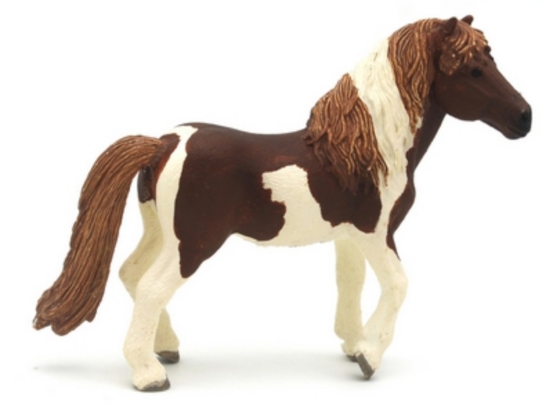 Icelandic Male Pony