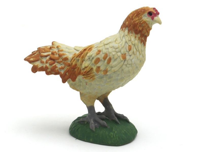 American Chicken