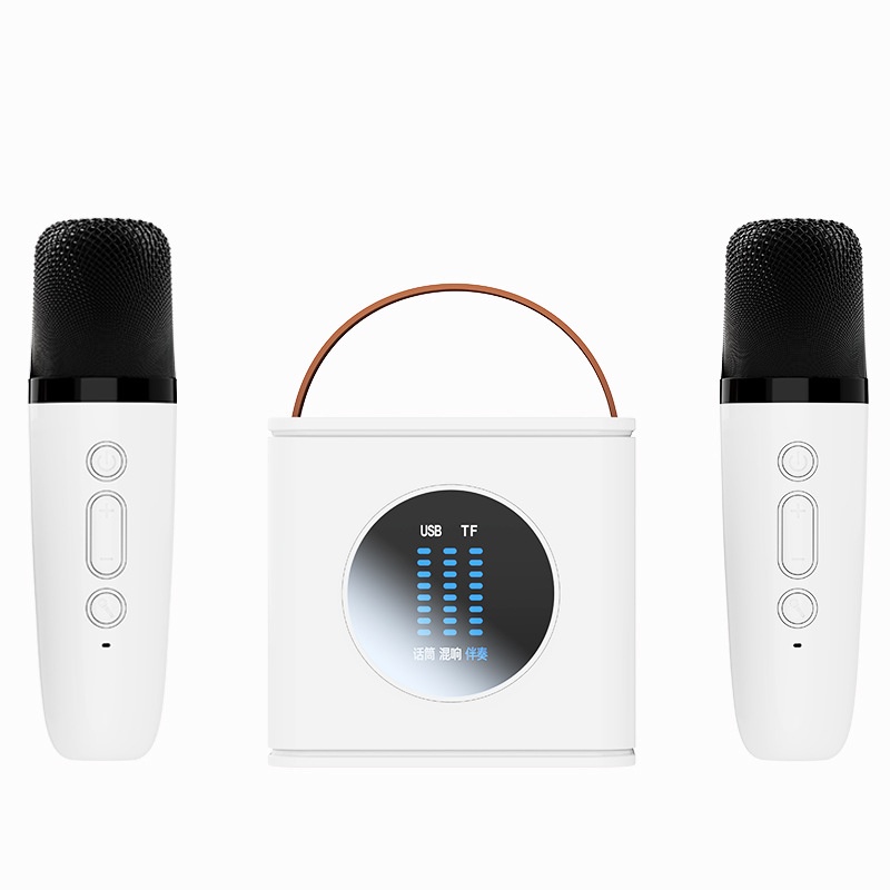 Wireless Bluetooth Karaoke Speaker Microphone Set(Double Microphone)