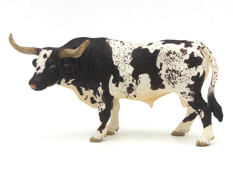 Texas Longhorn Bulls