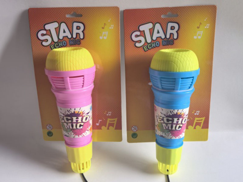 Echo Microphone