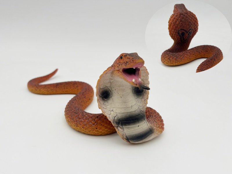 Cobra Model