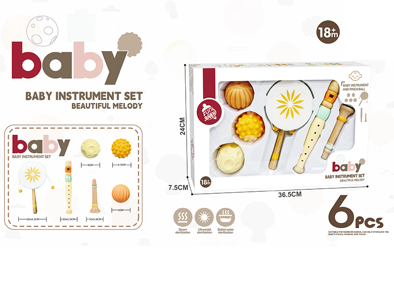 Wooden Musical Instrument Set + Vinyl Balls