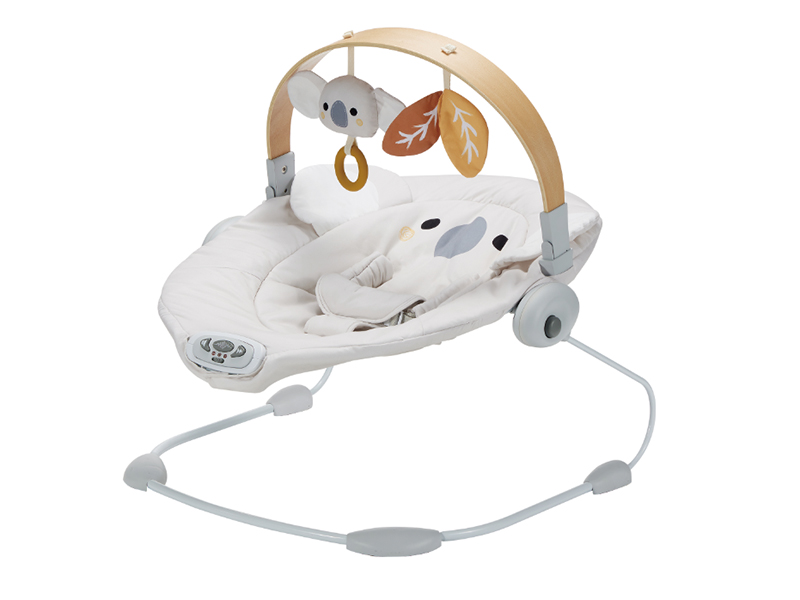 Baby Bouncer