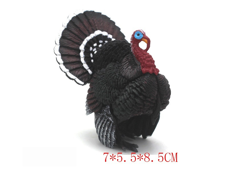 Turkey