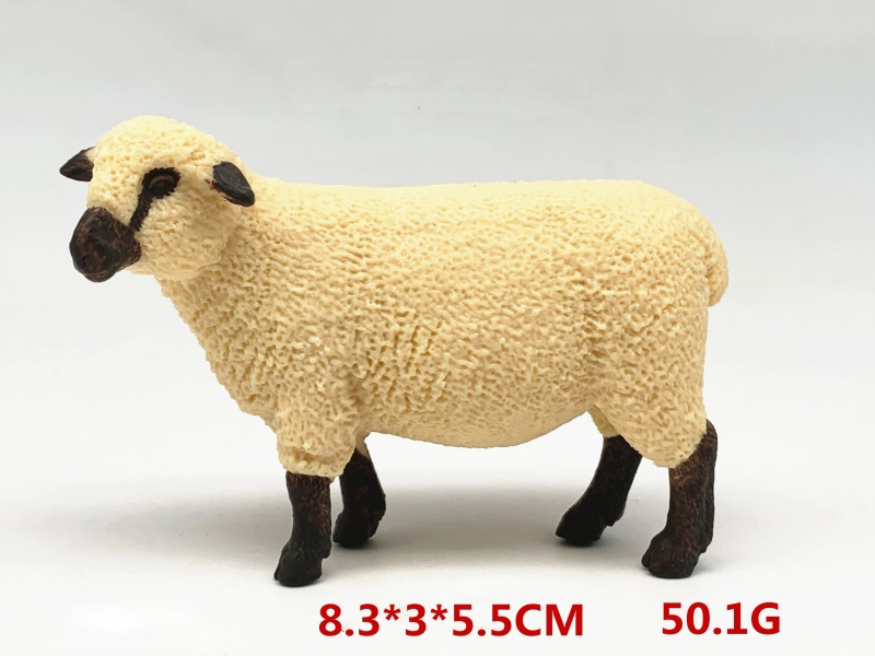 Shropshire Sheep
