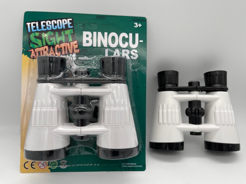 Focusing Telescope