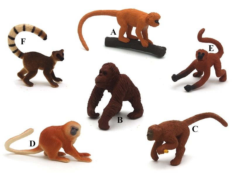 6 Mini Monkeys (A Long-Tailed Monkey +B Orangutan +C Capuchin Monkey +D Golden Monkey +E Spider Monkey +F Lemur)