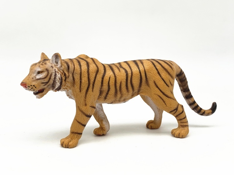 Male Tiger