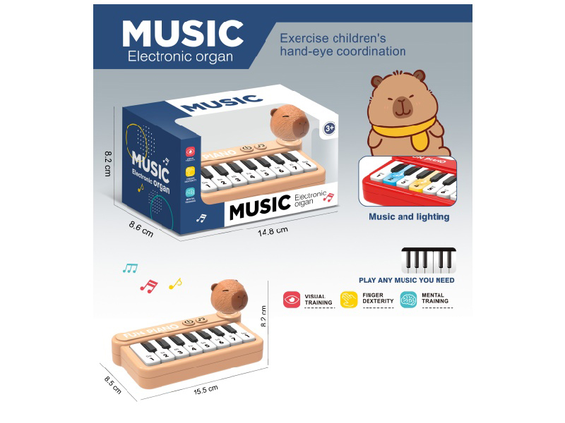Kapipala Multi-Functional Educational Electronic Organ