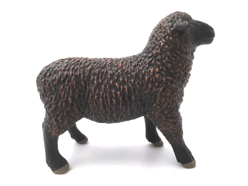 Sheep Brown