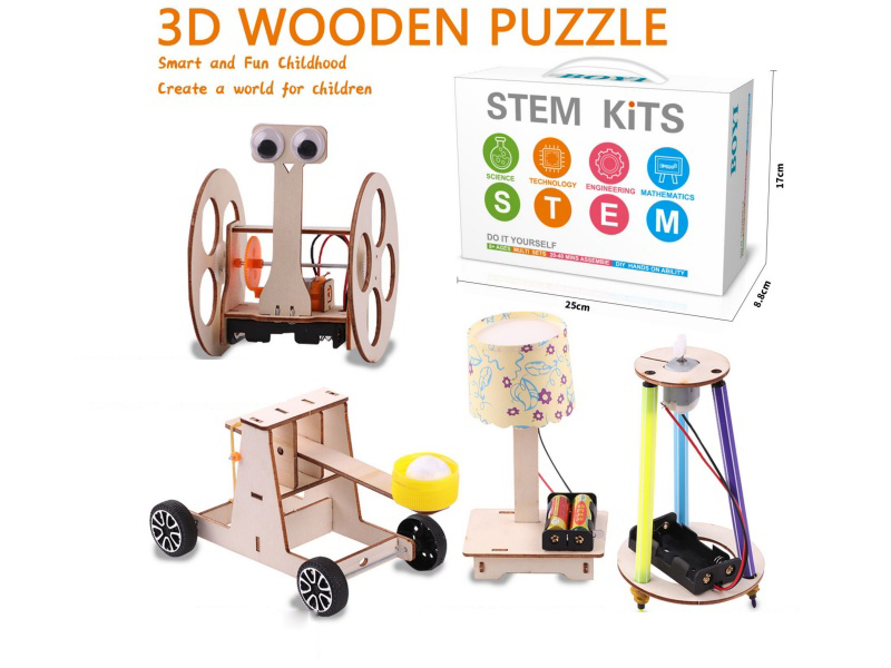 DIY Wooden Puzzle Electrical Science And Educational Toys 4PCS