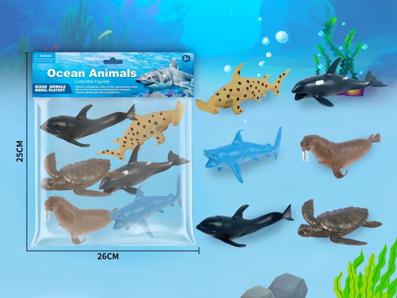 Six Marine Animals